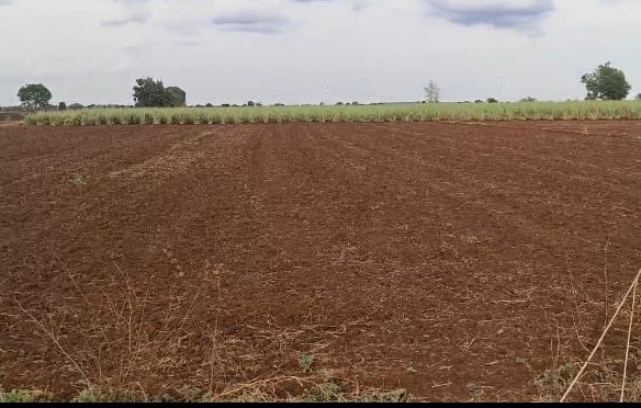 1 Acre 10 Guntas Red Soil Agricultural Land for Sale in Sangareddy District, Telangana | BT Road | Near Mumbai Highway | ₹70 Lakhs Per Acre | Property ID BX25072 agriculture land for sale