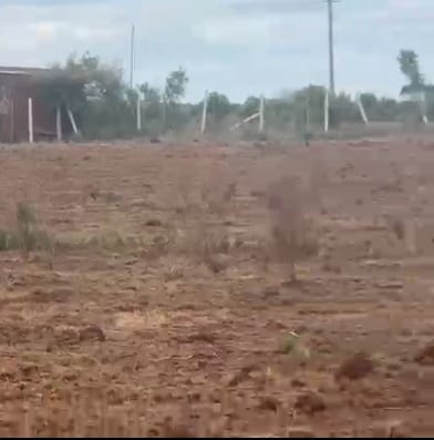 10 Acres Red soil Agricultural Land for Sale in Bidar, Karnataka | Near Mumbai Highway | ₹22 Lakhs Per Acre | BX25130 agriculture land for sale