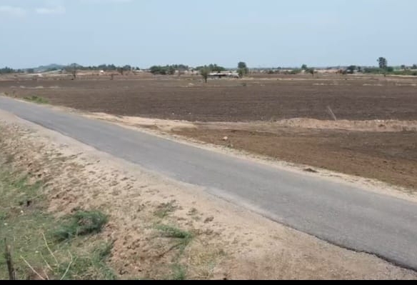 12 Acres Black Soil Agriculture Land for Sale | Bamboo Plantation | 4 Borewells | ₹16 Lakhs Per Acre | BX-25164 | agriculture land for sale