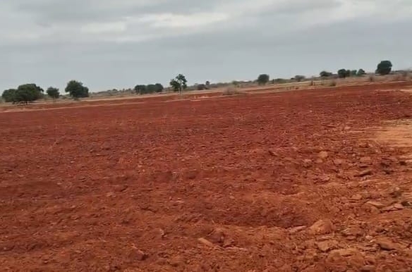 🌾 ₹9 Lakhs Per Acre | 40 Acres Red Soil Agricultural Land for Sale in Palnadu, AP 🚜 | BX25209 🌿 agriculture land for sale