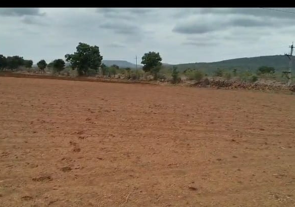 🌾 ₹10 Lakhs Per Acre | 50 Acres Red Soil Agricultural Land for Sale in Palnadu, Andhra Pradesh 🚜 | BX25218 agriculture land for sale