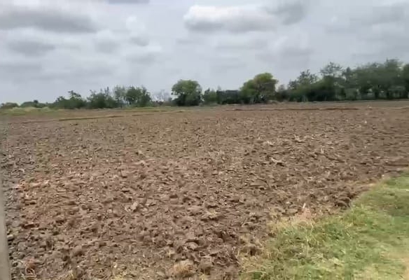 🌾 15 Acres Black Soil Agricultural Land for Sale Near Yadgir, Karnataka | Canal & Bore Water | BX25237 | 💰 ₹14 Lakhs Per Acre agriculture land for sale