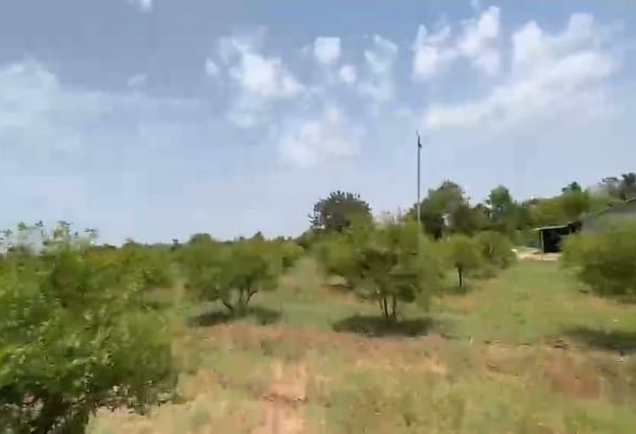 23 Acres Red Soil Agricultural Land for Sale in Raichur, Karnataka | BX25260 | ₹16 Lakhs Per Acre agriculture land for sale