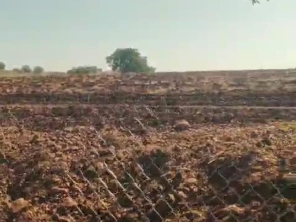 ⭐9 Lakhs Per acre🌾18 Acres Red soil Agricultural Land for Sale Near Kamalapur, Bidar, Karnataka | Red Soil | Dam Nearby | BX25270 agriculture land for sale