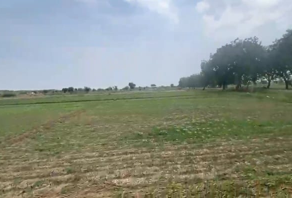 18 Acres Red Soil Agricultural Land for Sale in Raichur, Karnataka | 2 Borewells | BT Road Access | Clear Title | BX25283 | agriculture land for sale
