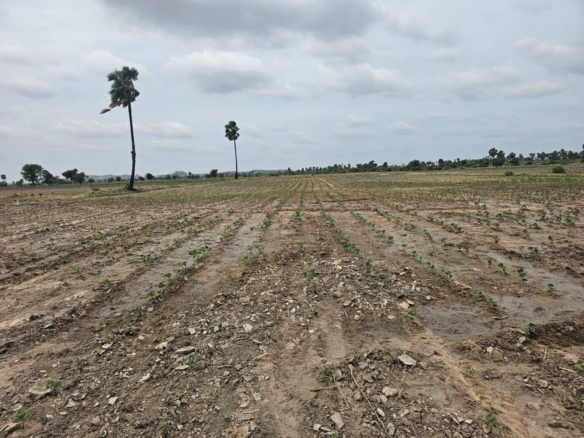 ₹5.6 Lakhs Per Acre | 20 Acres Black Soil Agricultural Land for Sale Kurnool (D), AP | Check Dam Water | BX-25369 agriculture land for sale