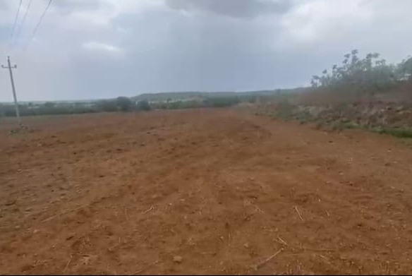 4 Acres Red Soil Agricultural Land for Sale in Basavakalyan, Bidar, Karnataka | 2 Side Road | Clear Title | ₹16 Lakhs Per Acre | BX25336 | agriculture land for sale