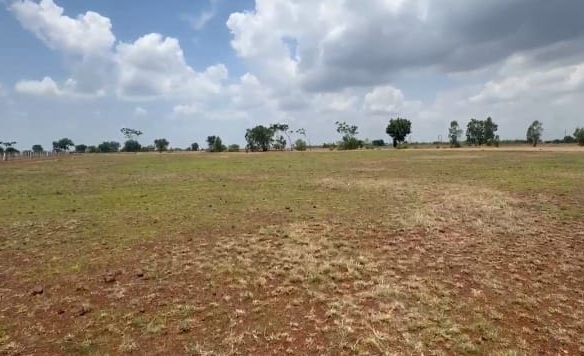 2 Acre 10 Gunta Red Soil Agricultural Land for Sale in Basavakalyan, Bidar, Karnataka | Near Water Facility | Clear Title | ₹16 Lakhs Per Acre | BX25345 | agriculture land for sale