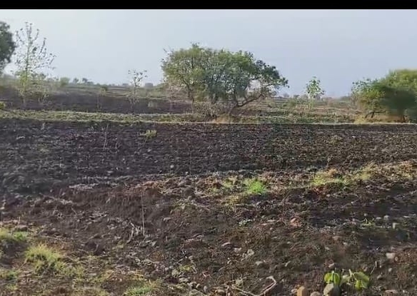 2 Acres Verified Black Soil Agricultural Land for Sale at Karasgutti, Narayankhed, Sangareddy, Telangana | BT Road 100 Meters | ₹18 Lakhs Per Acre | BX25433 agriculture land for sale