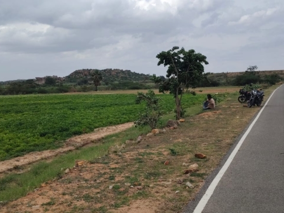 2 Acres 50 Cents Verified Red Soil Agricultural Land for Sale in Kurnool district, AP | ₹15 Lakhs per Acre | BHOOVIX BX-25755 agriculture land for sale