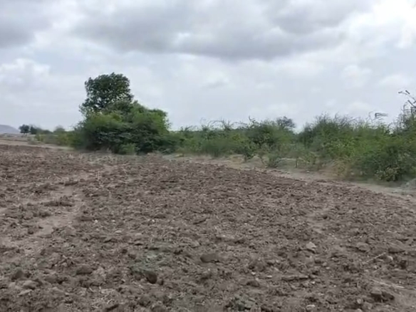 💰6 Lakhs per Acre💰4.50 Acres verified Black soil Agriculture land for sale in chippagiri Mandal, Kurnool district, AP | Near by Canal attached | BX-25542 agriculture land for sale