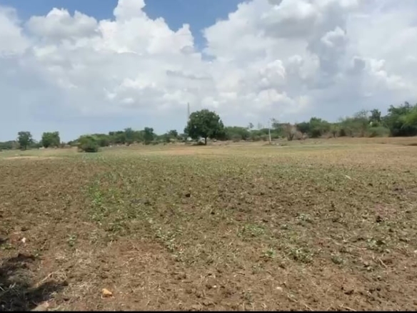 7 Acres Red Soil Agricultural Land for Sale in Tandur Mandal, Vikarabad District, Telangana | Basheerabad to 2km | ₹15 Lakhs per Acre | BHOOVIX BX-25555 agriculture land for sale