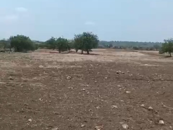 | ₹8 Lakh/Acre | 8 Acre 10 Guntas Black Soil Agricultural Land in Kalaburagi, Karnataka | CC Road Facing | BX25528 | agriculture land for sale