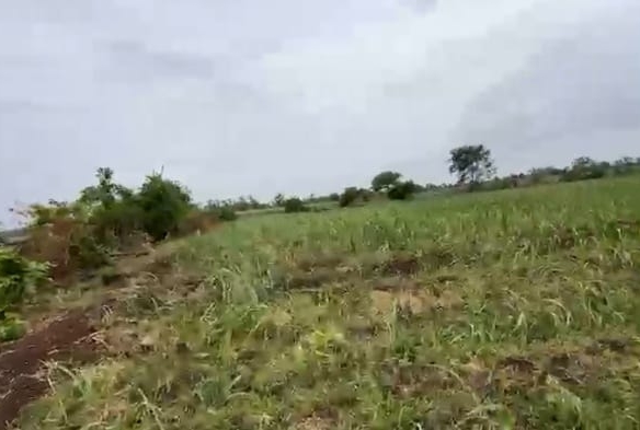 4 Acres Verified Black Soil Land for Sale in Mougdampally Mandal, Zaheerabad Division, Sangareddy District, Telangana | | ₹43 Lakhs per Acre | BHOOVIX BX-25673 agriculture land for sale