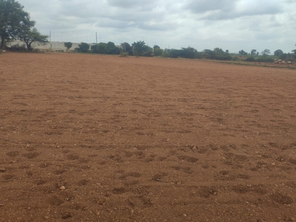 🌾 3 Acres 14 Guntas Verified Red Soil Agricultural Land for Sale in Molakamuru Taluk, Karnataka | 30 Lakhs per Acre | BHOOVIX BX-25801 agriculture land for sale