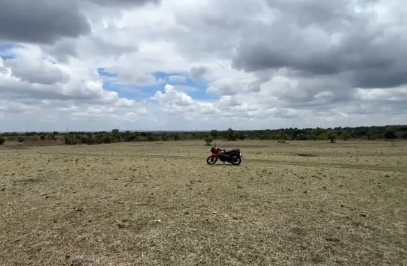 20 Acres Verified Black Soil agricultural Land for Sale in Nagalagidda Mandal, Telangana | ₹18 Lakhs per Acre | BHOOVIX BX-25655 agriculture land for sale