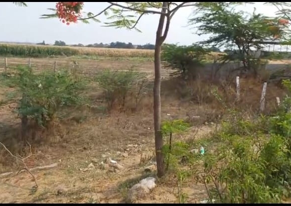 🌟 ₹17000 per sq yard 🌟 235 Sq Yard BT road frontage Red Soil Land for Sale near by Hyderabad, sangareddy district, Telangana | BHOOVIX BX-25663 agriculture land for sale