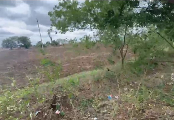 🌾 6 Acres Verified premium Agricultural Land for Sale in Kalaburagi(D), Karnataka| | ₹2 crore per Acre | BHOOVIX BX-25846 agriculture land for sale