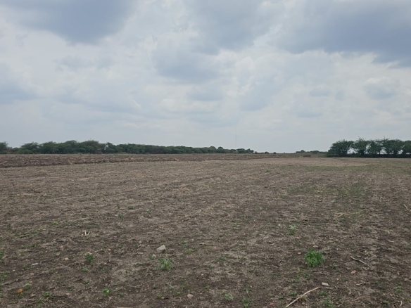 | ₹4 Lakhs Per Acre |10.50 Acres Black Soil Land for Sale in Kurnool district, AP | BHOOVIX BX-25880 agriculture land for sale