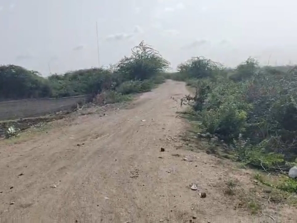 ₹7.5 Lakhs per Acre🌿 5.50 Acres Agricultural Land for Sale – Kurnool District, Andhra Pradesh | Canal Attached land | BHOOVIX BX-26000 agriculture land for sale