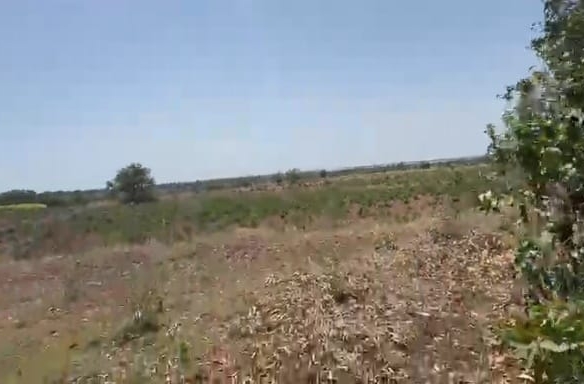 🌿 2 Acres Road-Facing Agricultural Land for Sale in Bidar(D), Karnataka 🌿 | ₹25 Lakhs per Acre | BHOOVIX BX-26042 agriculture land for sale