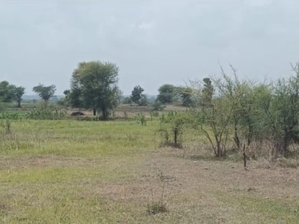 10 Acres Black Soil Agriculture Land for Sale Near Viswanathpuram, Yelal Mandal, Vikarabad | BX-26186 | ₹15 Lakhs/Acre agriculture land for sale