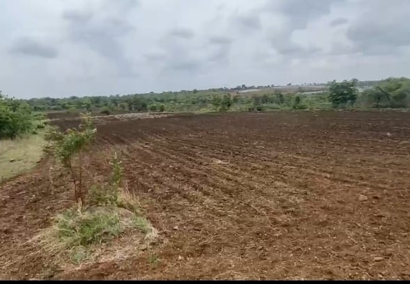 ₹9 Lakhs/Acre | 20 Acres Mixed Soil Agricultural Land for Sale in Kamalapura Taluk, Kalaburagi | Beside Solar Plant, Sugar cane cultivated |BX-26248| agriculture land for sale