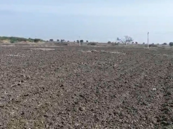 ₹5.5 Lakhs/Acre | 5 Acre Black Soil Agriculture Land for Sale in Chippagiri Mandal, Kurnool(D), AP | BX-26298 | agriculture land for sale