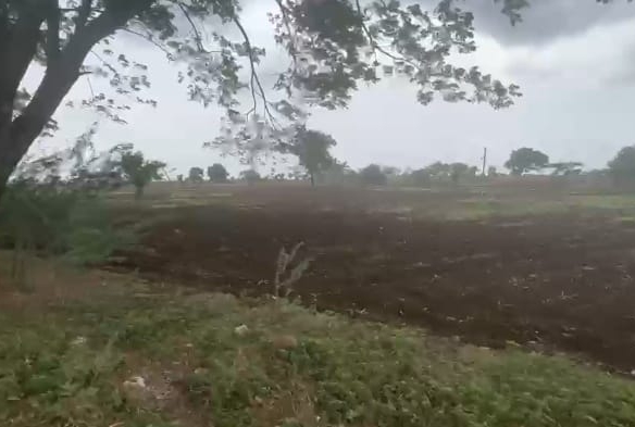 4 Acres BT Road frontage Black Soil Agriculture Land for Sale Near Kalagi, Kalaburagi, Karnataka state, ₹14 Lakhs/Acre | BX-26350 | agriculture land for sale