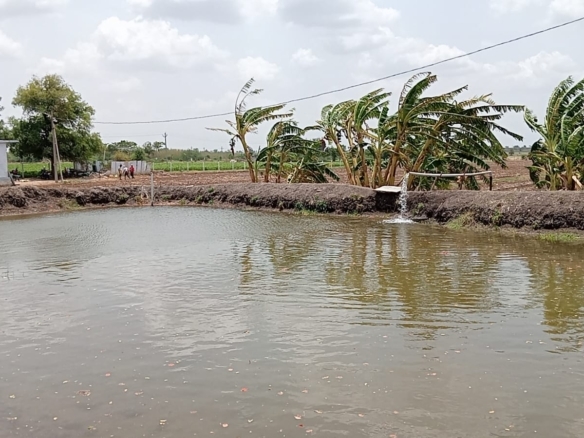 24 Acres Black Soil Agriculture Land for Sale Jogulamba Gadwal District, Telangana | ₹26 Lakhs/Acre | BHOOVIX BX-26328 agriculture land for sale