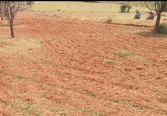 ₹7 Lakhs/Acre | 10 Acres Pure Red Soil Agriculture Land for Sale in Sri Sathya Sai District, Andhra Pradesh | BX-26417 | agriculture land for sale