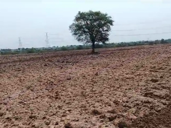 ₹9.50 Lakhs Per Acre | 50 Acres Red Soil Agricultural Land for Sale in Darsi Mandal, Prakasam District, Andhra Pradesh | BHOOVIX BX-26429 agriculture land for sale