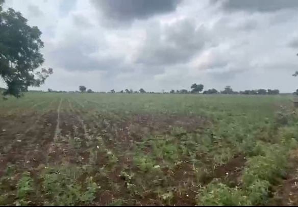 9 Acres Mixed Soil Agriculture Land for Sale in Kalaburagi District, Karnataka | ₹12 Lakhs/Acre | BHOOVIX BX-26434 agriculture land for sale