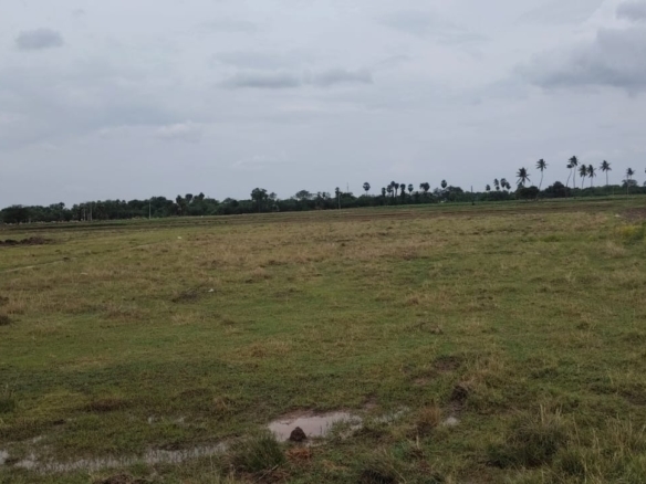 6 Acres 30 Guntas Black Soil Agricultural Land for Sale Near Aiza, Telangana | ₹13 Lakhs/Acre | BHOOVIX BX-26735 agriculture land for sale