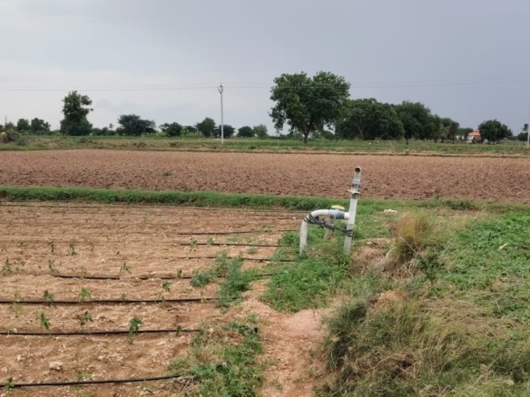 18 Acres Mixed Soil Agricultural Land for Sale in Jogulamba Gadwal District, Telangana | ₹11 Lakhs/Acre |BHOOVIX BX-26749 agriculture land for sale