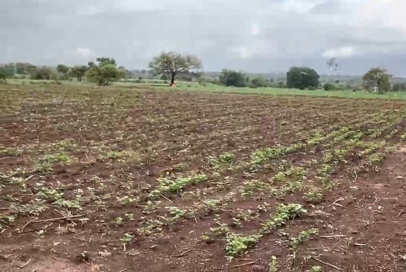 1 Acre 4 Guntas Red Soil Agricultural Land for Sale in Zaheerabad Division, Sangareddy District, Telangana | ₹58 Lakhs per Acre | BHOOVIX BX-26591 agriculture land for sale