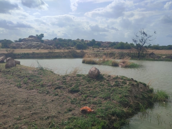 2.25 Acres Mixed Soil Agricultural Land for Sale in Kurugodu District, Karnataka | ₹70 Lakhs/Acre | BHOOVIX BX-26946 agriculture land for sale