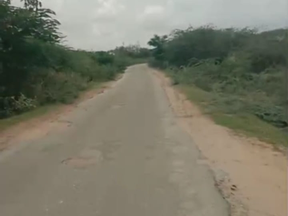 22 Acres Mixed Soil Agricultural Land for Sale in Maldakal Mandal, Jogulamba Gadwal, Telangana| 3 Bores Running | ₹12 Lakhs per Acre | BHOOVIX BX26609 agriculture land for sale