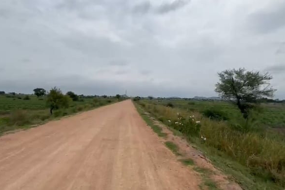 2 Acres Road facing Black Soil Agricultural Land for Sale in Wadagera, Karnataka | ₹12 Lakhs/Acre | BX-26700 agriculture land for sale