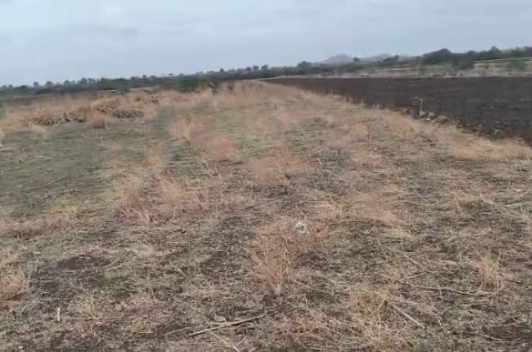 ₹6 Lakhs/Acre | 10 Acres Black Soil Agricultural Land for Sale in Kurnool District, Andhra Pradesh | Srisailam Canal Water |BHOOVIX BX-26656 agriculture land for sale