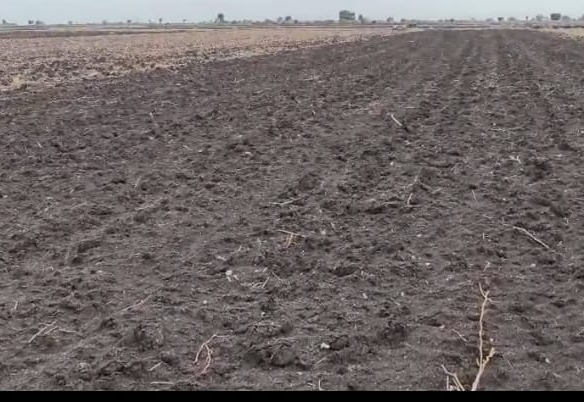 ₹6 Lakhs/Acre | 6 Acres Black Soil Agricultural Land for Sale in Kurnool District, Andhra Pradesh | Srisailam canal water | BHOOVIX BX-26665 agriculture land for sale