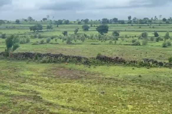 7 Lakhs per Acre | 30 Acres Mixed Soil Agricultural Land for Sale in Kalaburagi District, Karnataka | BHOOVIX BX-27027 agriculture land for sale