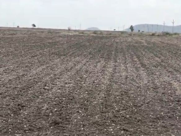 ₹8 Lakhs per Acre |3 Acres village attached Black Soil Agricultural Land for Sale in Vajrakarur Mandal, Anantapur District | BHOOVIX BX-27058 agriculture land for sale