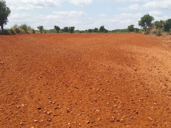 agriculture land for sale in rangareddy