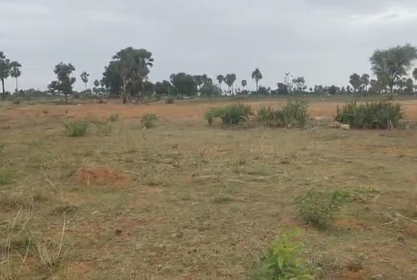 ₹6 Lakhs per Acre |🌾 1 Acre Red Soil Agricultural Land for Sale in Kurnool district, AP | BHOOVIX BX-27436 agriculture land for sale