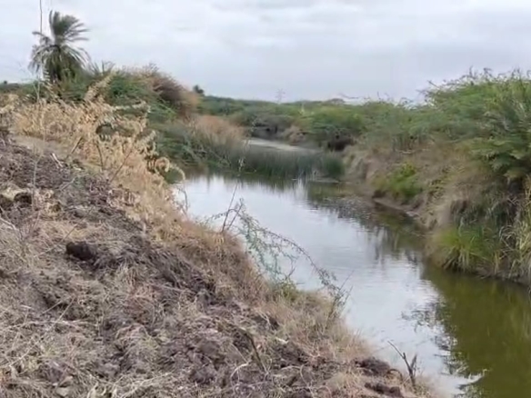 ₹4.50 Lakhs Per Acre Only | 7 acres black soil agricultural land for sale in vajrakarur Mandal , Anantapur district, AP | Tungabadra canal water & vanka water | BHOOVIX BX-27620 agriculture land for sale