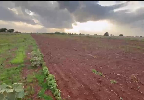 6 Acres Red soil Agricultural Land for Sale – Basavakalyan, Bidar, Karnataka | ₹13 Lakhs Per Acre | BHOOVIX BX-27637 agriculture land for sale