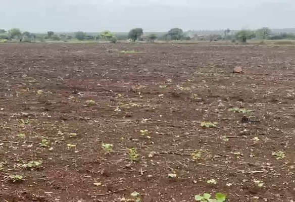 Agriculture Land For Sale In Adoni