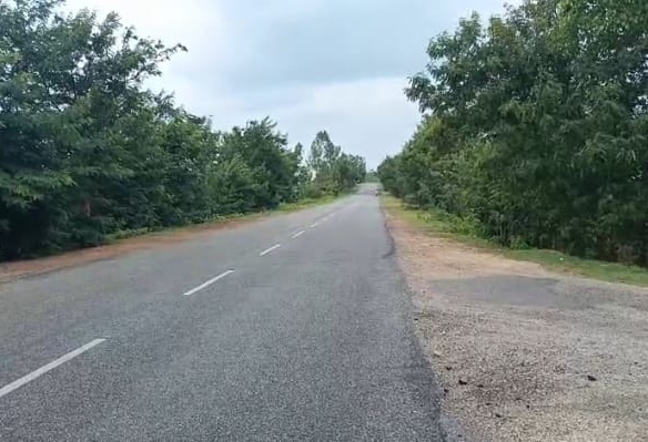 8 Acres Agricultural Black Soil Land for Sale in Damargidda, Narayanpet District, Telangana | NH-163 Bijapur Road 2nd Bit | ₹36 Lakhs Per Acre| BHOOVIX BX-27665 agriculture land for sale