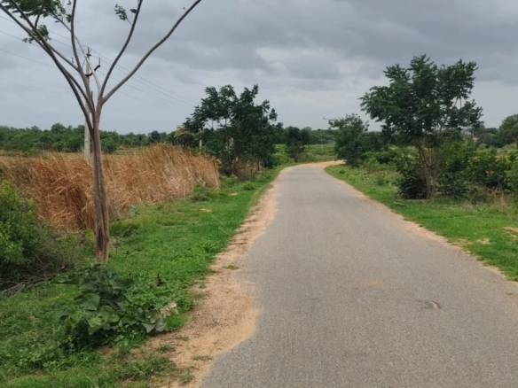 6 Acres BT Road facing Red Soil Agricultural Land for Sale in Wanaparthy District, Telangana | ₹24 Lakhs/Acre | BHOOVIX BX-28020 agriculture land for sale